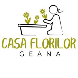 GEANA SRL, Vama