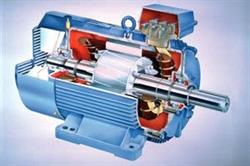 REBOMAS ELECTRO SRL, Murfatlar