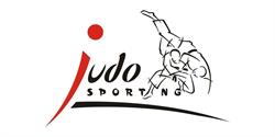 JUDOSPORTING SRL, Curtea de Argeş