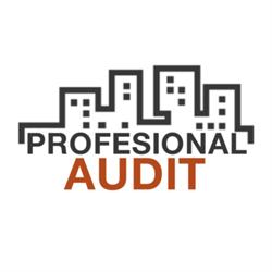 PROFESIONAL AUDIT SRL, Craiova