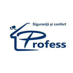 PROFESS TEAM SRL, Roman