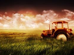 AGRO INVESTMENTS MOLDOVA SRL, Goleşti