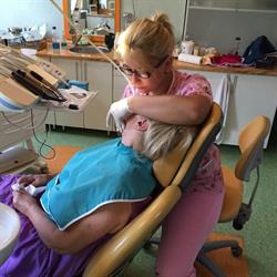 DENTAL PARTNER SRL, Ştei