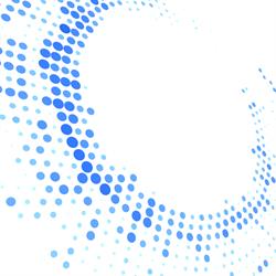 NETWORK CONSULTING & DEVELOPMENT SRL, Constanţa