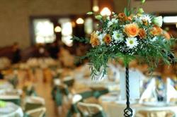 TEODORA CRIS EVENTS SRL, Galaţi