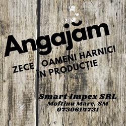 Smart Impex, Moftinu Mare