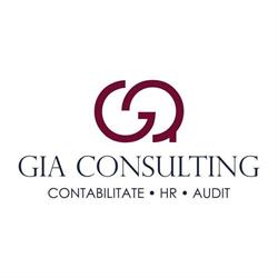 G.I.A. CONSULTING SRL, Timişoara