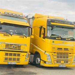 MALIZIA LORRY SRL, Făget